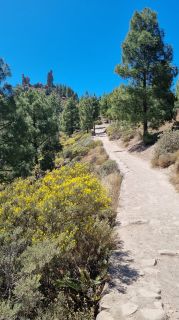 2023-04-GranCan-Roque_Nublo-012.jpg